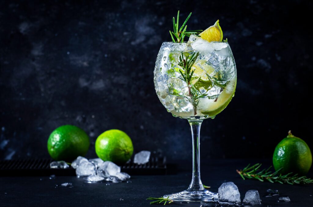 Gin,Tonic,Cocktail,With,Dry,Gin,,Rosemary,,Tonic,,Lime,And